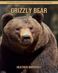 Bertrand.pt - Grizzly Bear
