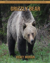Grizzly Bear