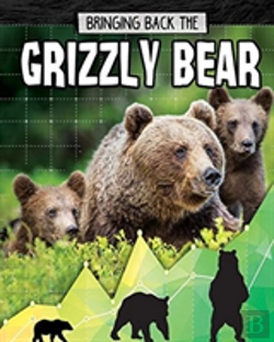 Bertrand.pt - Grizzly Bear
