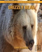Grizzly Bear