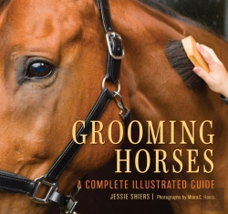 Bertrand.pt - Grooming Horses