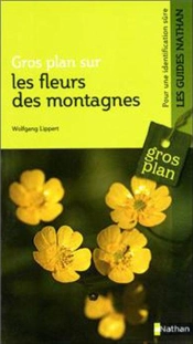 Gros Plan Fleurs Des Montagnes
