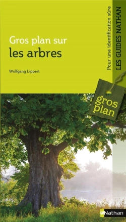 Bertrand.pt - Gros Plan Sur Les Arbres