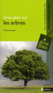 Gros Plan Sur Les Arbres