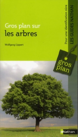 Bertrand.pt - Gros Plan Sur Les Arbres