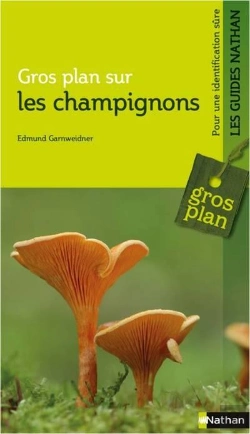 Bertrand.pt - Gros Plan Sur Les Champignons