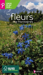 Gros Plan Sur Les Fleurs De Montagne