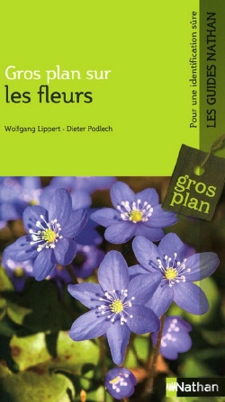 Bertrand.pt - Gros Plan Sur Les Fleurs