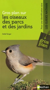 Gros Plan Sur Les Oiseaux Des Parcs Et Des Jardins