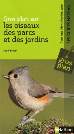 Bertrand.pt - Gros Plan Sur Les Oiseaux Des Parcs Et Des Jardins