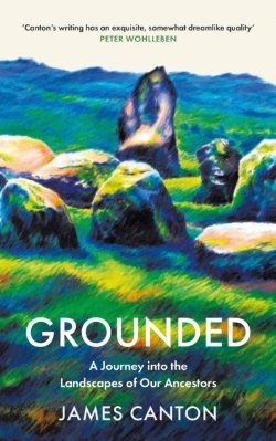 Bertrand.pt - Grounded