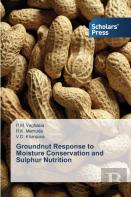 Groundnut Response To Moisture Conservation And Sulphur Nutrition