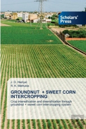 Groundnut + Sweet Corn Intercropping