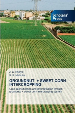 Bertrand.pt - Groundnut + Sweet Corn Intercropping