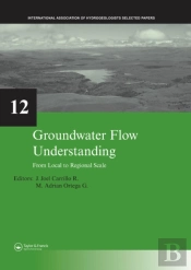 Groundwater Flow Understanding