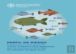 Group B Streptococcus (Gbs) (Spanish Edition)
