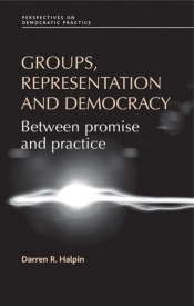 Groups, Representation And Democracy