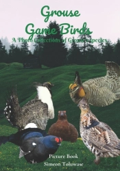 Grouse Game Birds A Photo Collections Of Grouse'S Species Picture Book