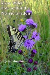 Grow Wild: How To Build A Prairie Garden