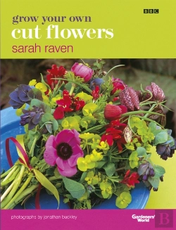 Bertrand.pt - Grow Your Own Cut Flowers