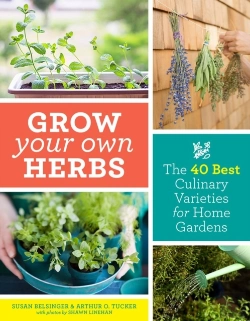 Bertrand.pt - Grow Your Own Herbs