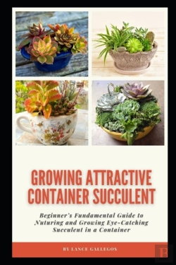 Bertrand.pt - Growing Attractive Container Succulent