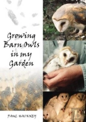 Growing Barn Owls In My Garden