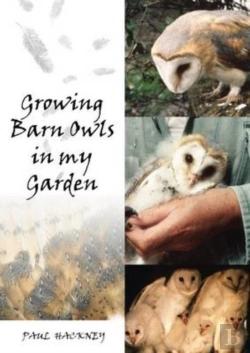Bertrand.pt - Growing Barn Owls In My Garden