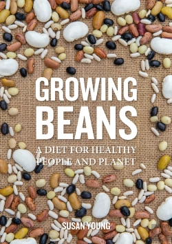 Bertrand.pt - Growing Beans