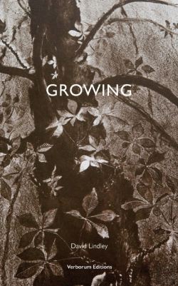 Bertrand.pt - Growing