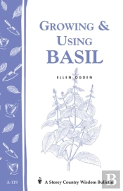 Growing & Using Basil