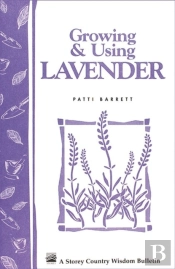 Growing & Using Lavender