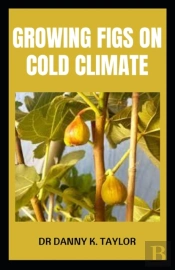 Growing Figs On Cold Climate