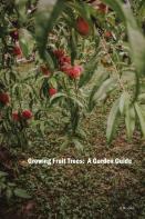 Growing Fruit Trees