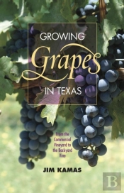 Growing Grapes In Texas