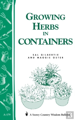 Bertrand.pt - Growing Herbs In Containers