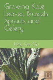 Growing Kale Leaves, Brussels Sprouts And Celery
