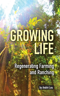Bertrand.pt - Growing Life