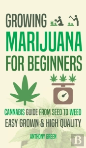 Growing Marijuana For Beginners