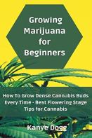 Growing Marijuana For Beginners
