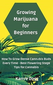 Growing Marijuana For Beginners