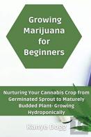 Growing Marijuana For Beginners