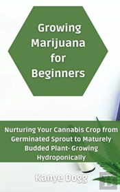 Growing Marijuana For Beginners