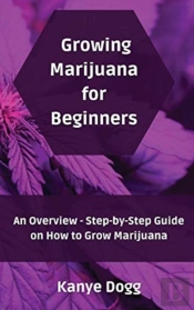 Growing Marijuana For Beginners