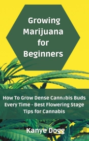 Growing Marijuana For Beginners