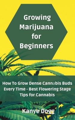 Bertrand.pt - Growing Marijuana For Beginners