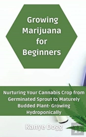 Growing Marijuana For Beginners