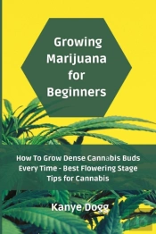 Growing Marijuana For Beginners
