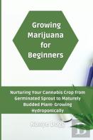 Growing Marijuana For Beginners