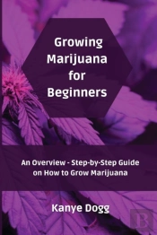 Growing Marijuana For Beginners